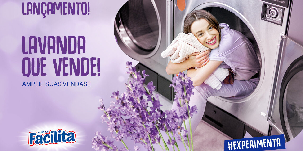 Lavanda que Vende: Lava Roupas Lavanda